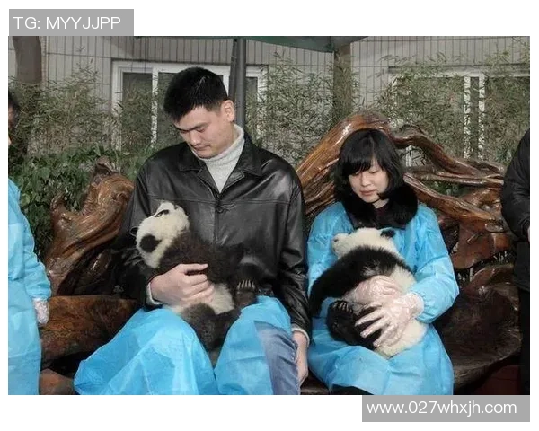 足球球星与熊猫谁更具影响力与魅力的全面对比分析